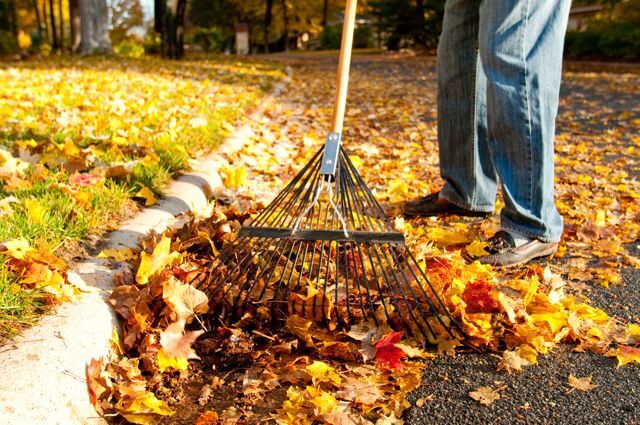 EP yard waste